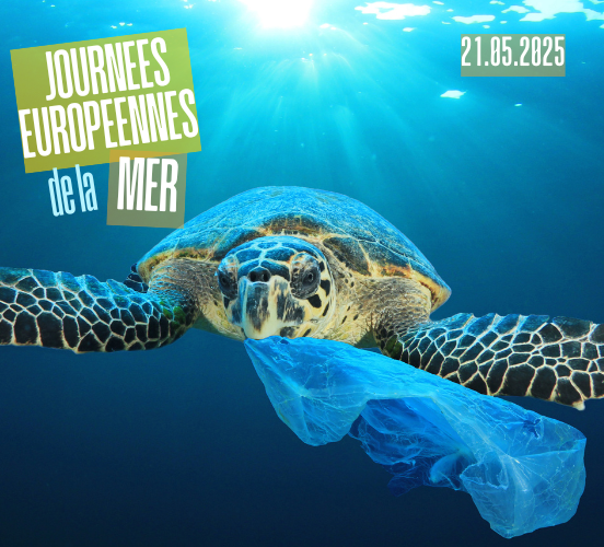 21 mai 2025 Journées européennes de la mer Photo d'une torture dans l'eau qui tient un sac plastique dans sa bouche