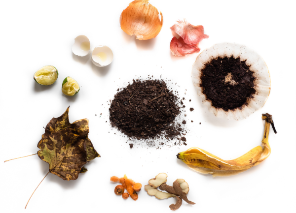 Image montrant divers déchets organiques disposés autour d’un tas de compost sombre au centre. On voit notamment des épluchures d’oignon, des coquilles d’œufs, des quartiers de citron vert pressés, des pelures d’ail, un filtre de café rempli de marc, une feuille sèche, une peau de banane, ainsi que de petits morceaux de gingembre et de curcuma. L’ensemble illustre des matières compostables sur un fond blanc.